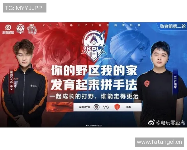 聚焦王者荣耀TES团队协作的成功秘诀与挑战分析